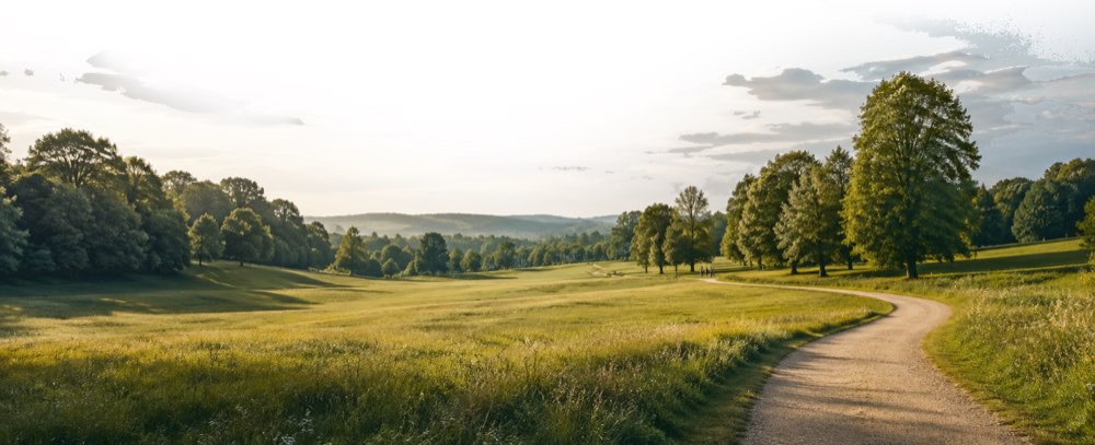 North Hill by Solmar walking trail through green meadows and mature trees in Bolton